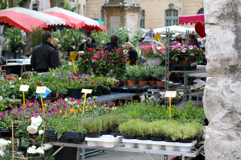 mercato dei fiori | mercato dei fiori aix en provence | aix en provence | provenza 1