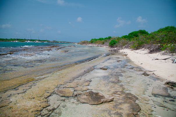 spiagge caraibiche