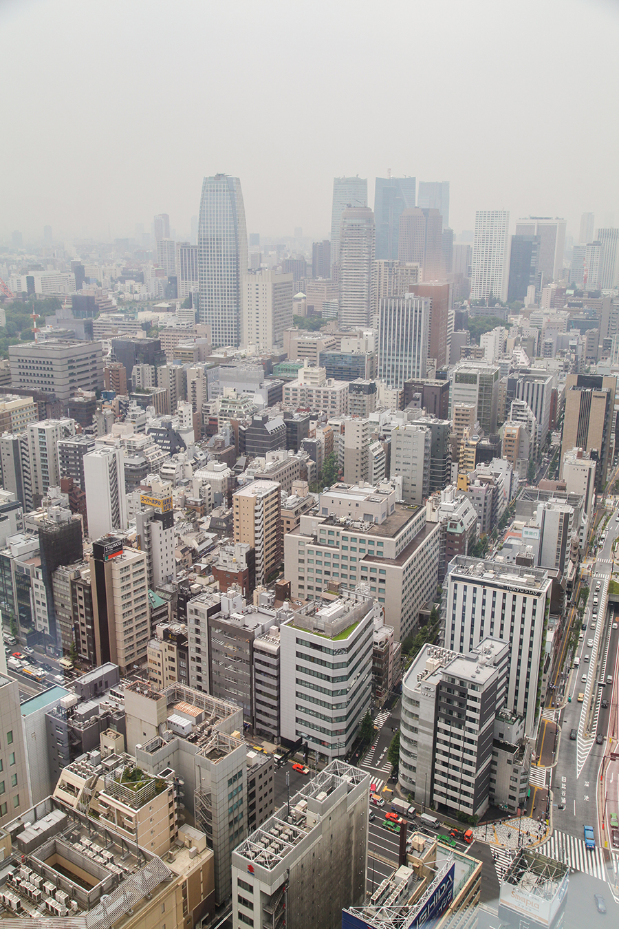 panorama tokyo metropoli