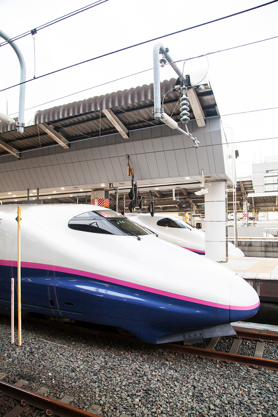 treni shinkansen japana rail pass giappone