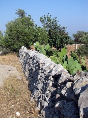 img_0136_modificato-1