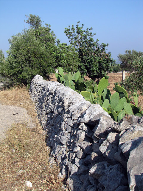 img_0136_modificato-2