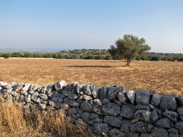 img_0138_modificato-2