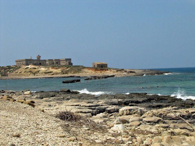 img_1306_modificato-2