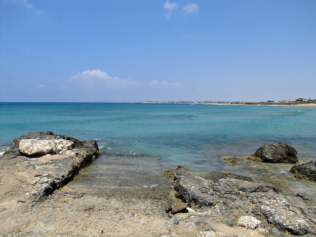 img_1324_modificato-2