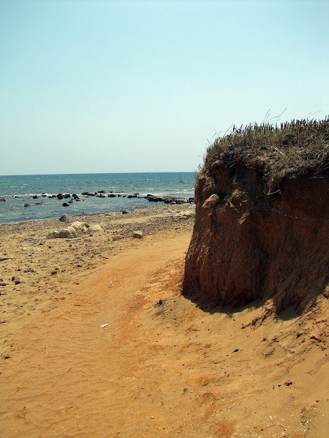 img_1325_modificato-2
