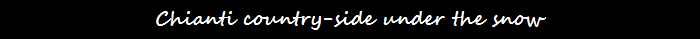 immagine2-6