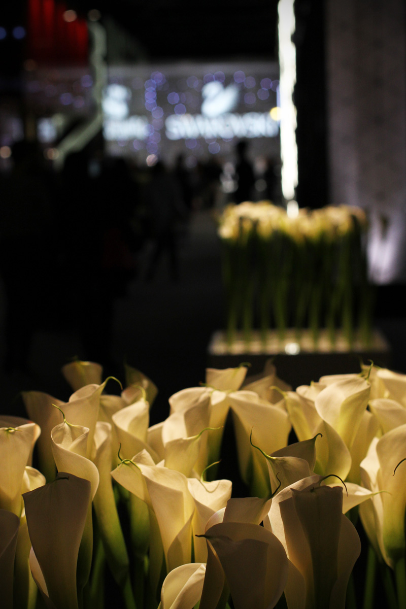  basilea world | basilea | zurigo | fashion blogger | evento fashion blogger (2)