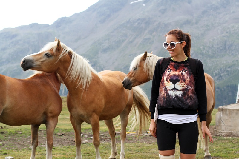 pet therapy | cavallo | animali montagna