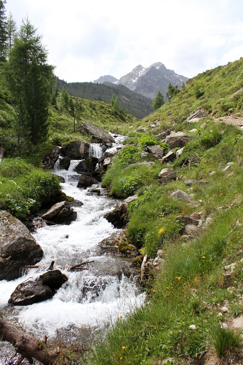 montagna | austria | tirolo | estate | valle verde