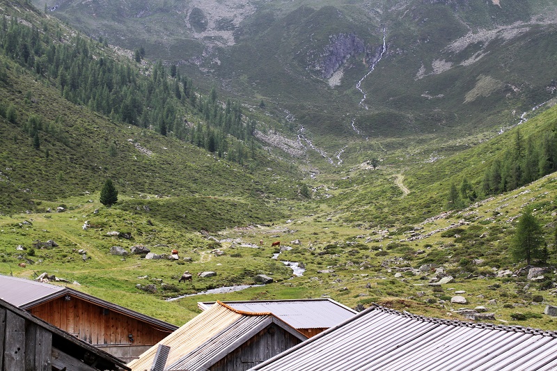 montagna | austria | tirolo | estate | valle verde