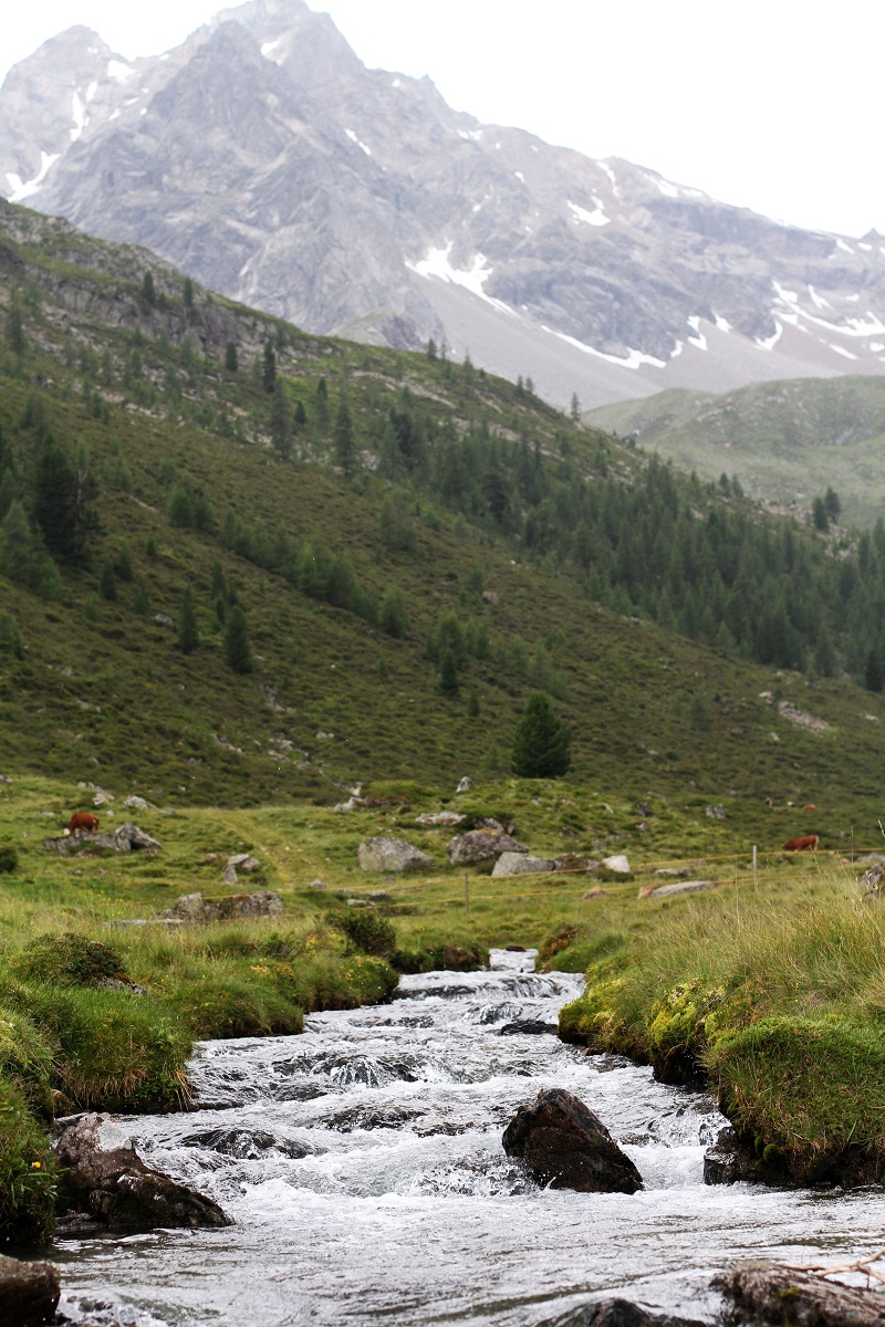 montagna | austria | tirolo | estate | valle verde