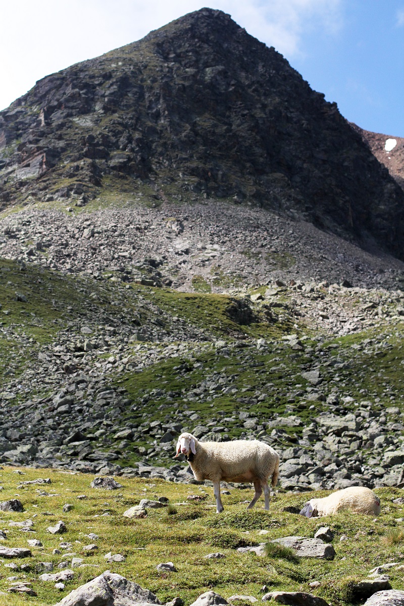  immagini paesaggi | foto paesaggi | montagna estate | solden | tirolo | austria | valle verde | valle otzal 1