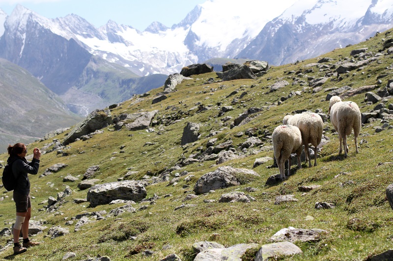 Vacanze in montagna | estate montagna | austria | tirolo 6