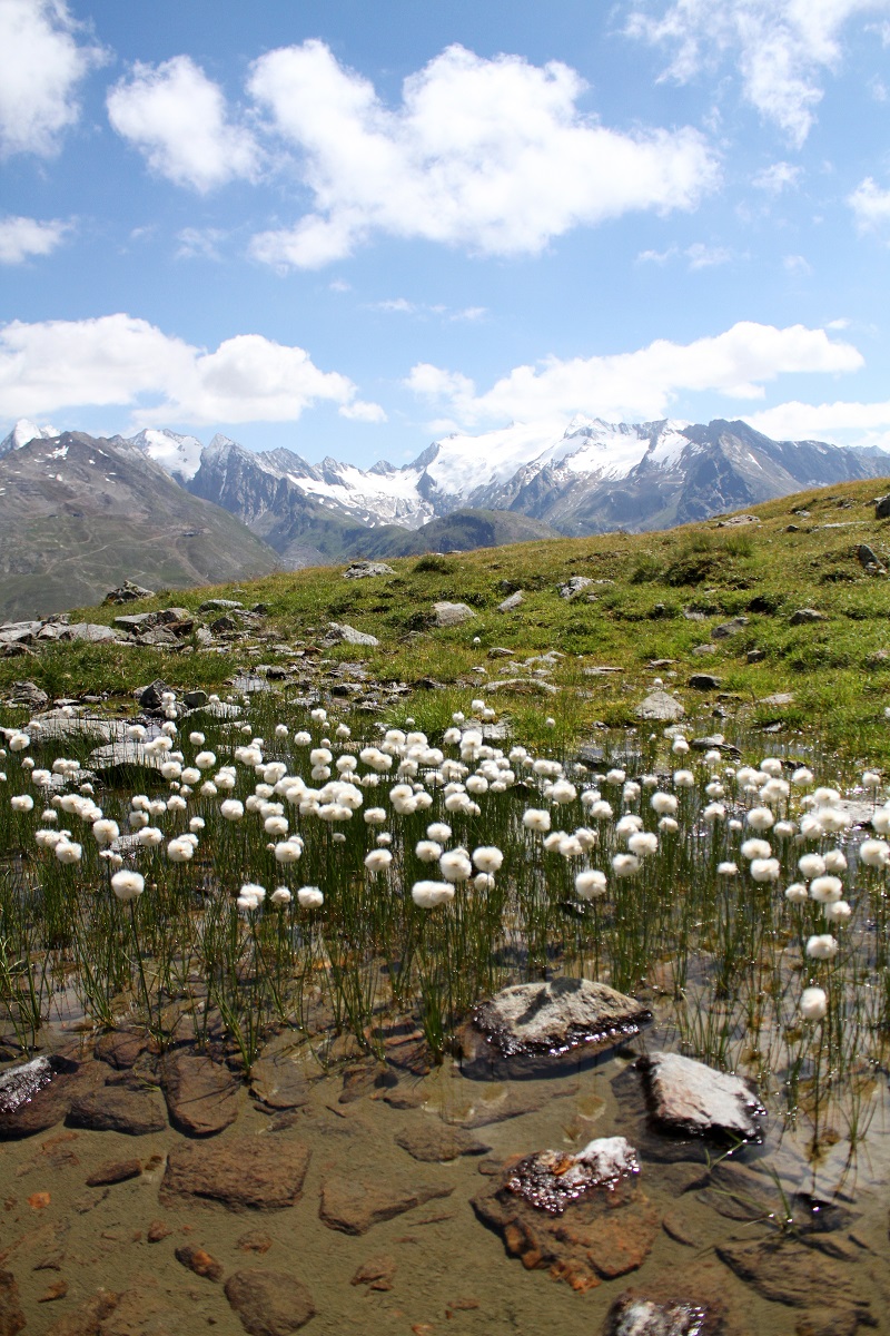  immagini paesaggi | foto paesaggi | montagna estate | solden | tirolo | austria | valle verde | valle otzal 5