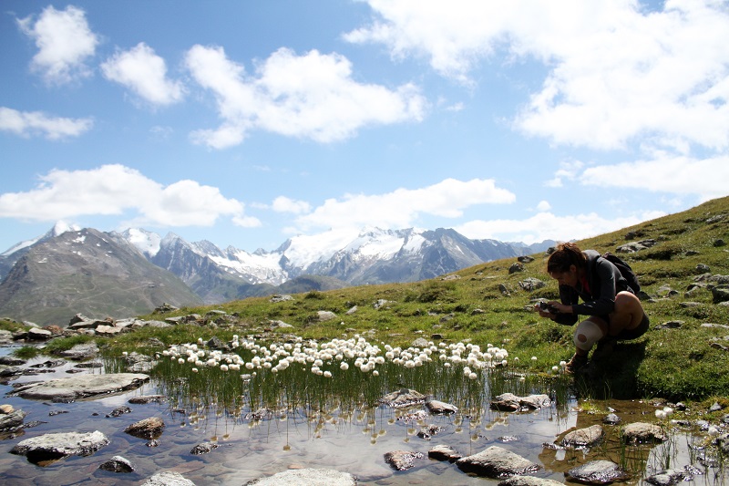 Vacanze in montagna |  estate montagna |  austria | tirolo  4