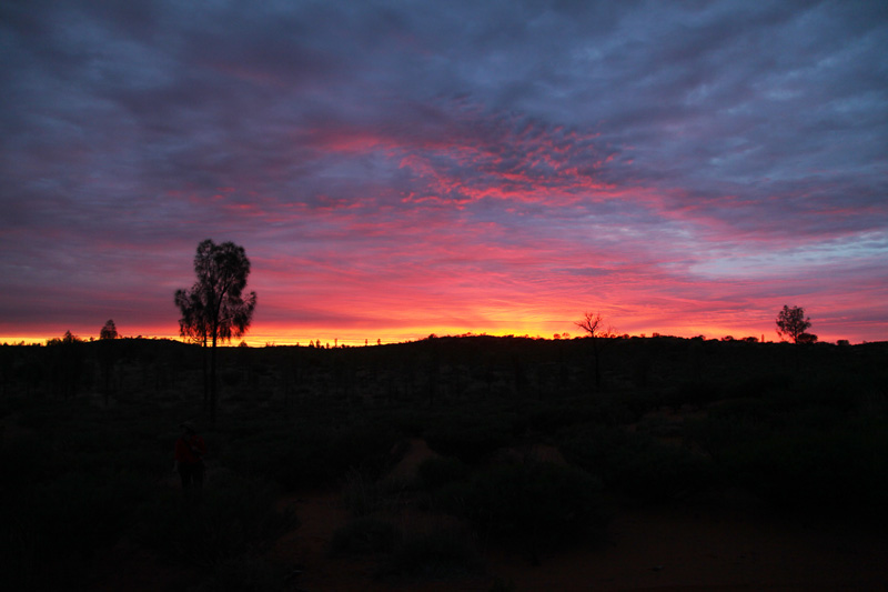 alba australia