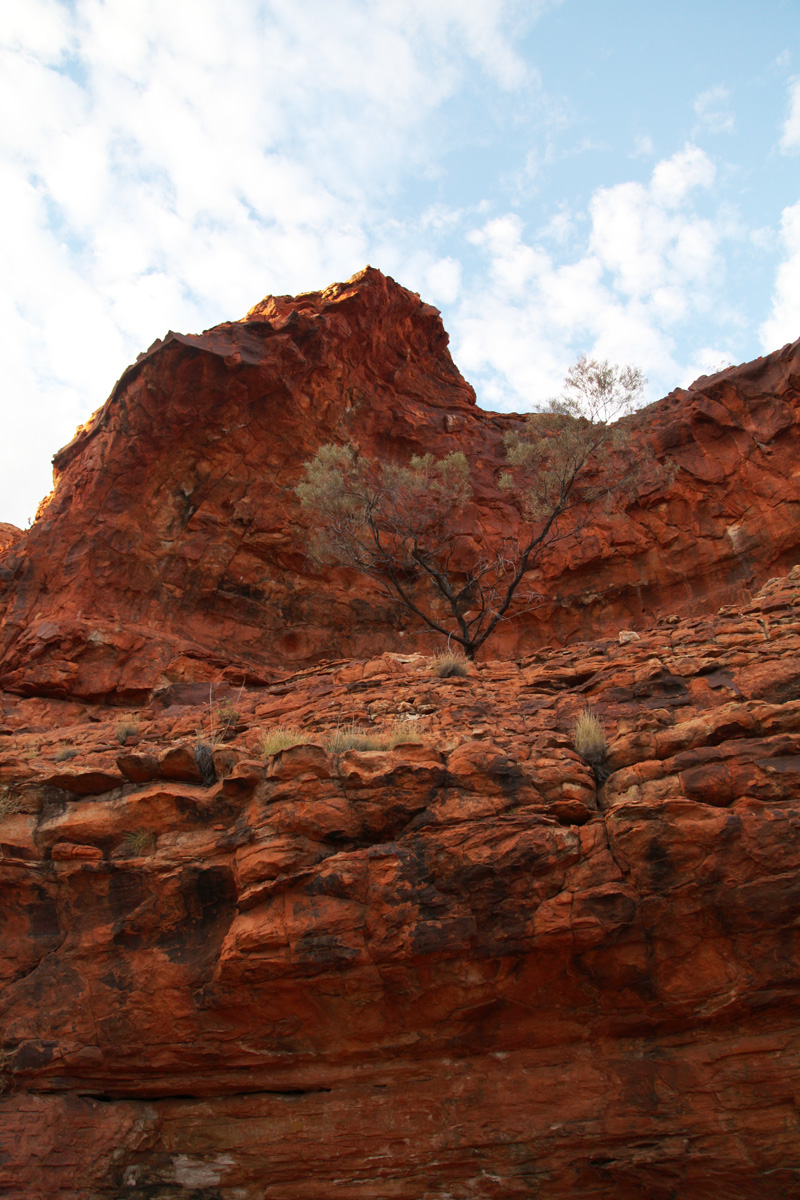 kings canyon (15)