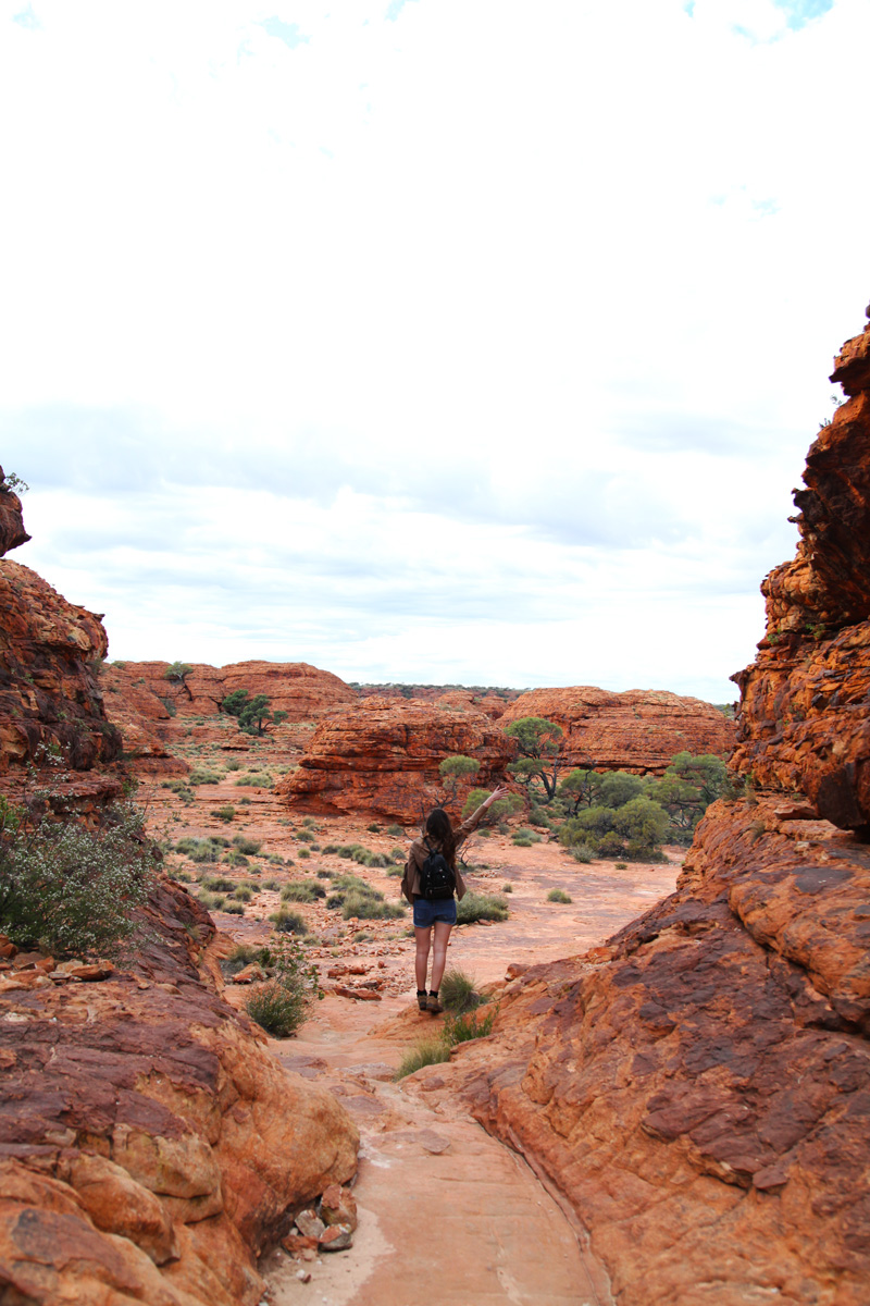 kings canyon (21)