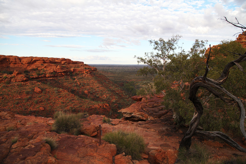 kings canyon (23)