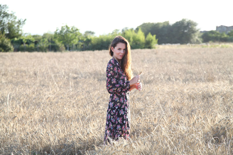 FOTOGRAFIE CAMPO DI GRANO  (4)