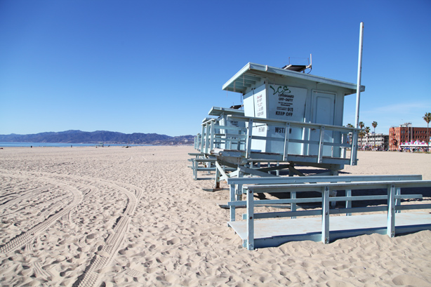 venice beach california (1)
