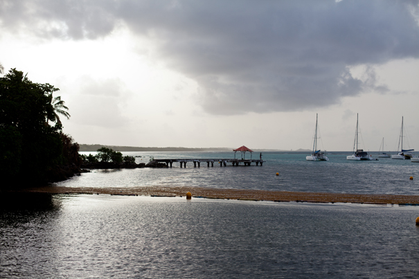 Isole Caraibiche