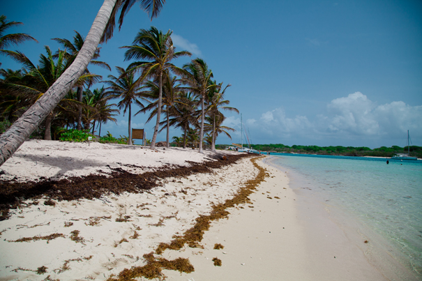 beach guadeloupe