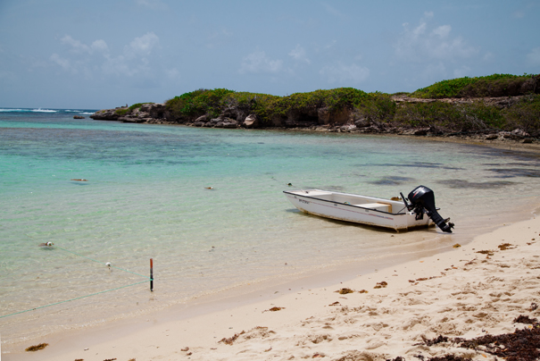 beach caribbean