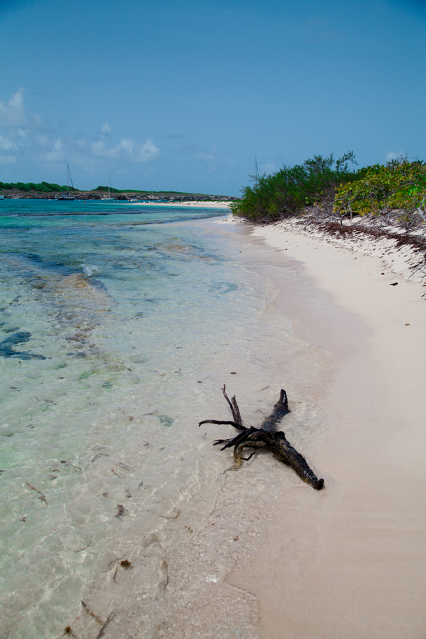 petite terre guadealoupe