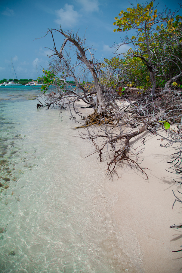 spiaggia caraibi