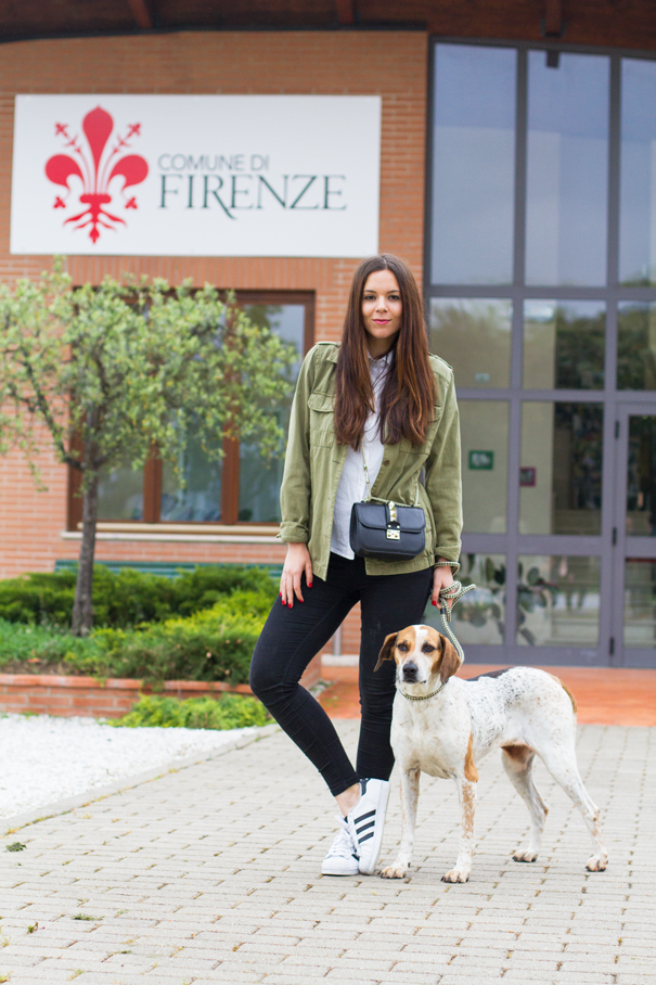 canile di firenze parco degli animali (26)