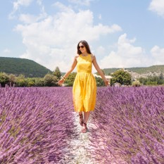 lavanda-provenza-(2)-copertina-post