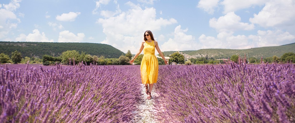 lavanda-provenza-(2)-copertina-post