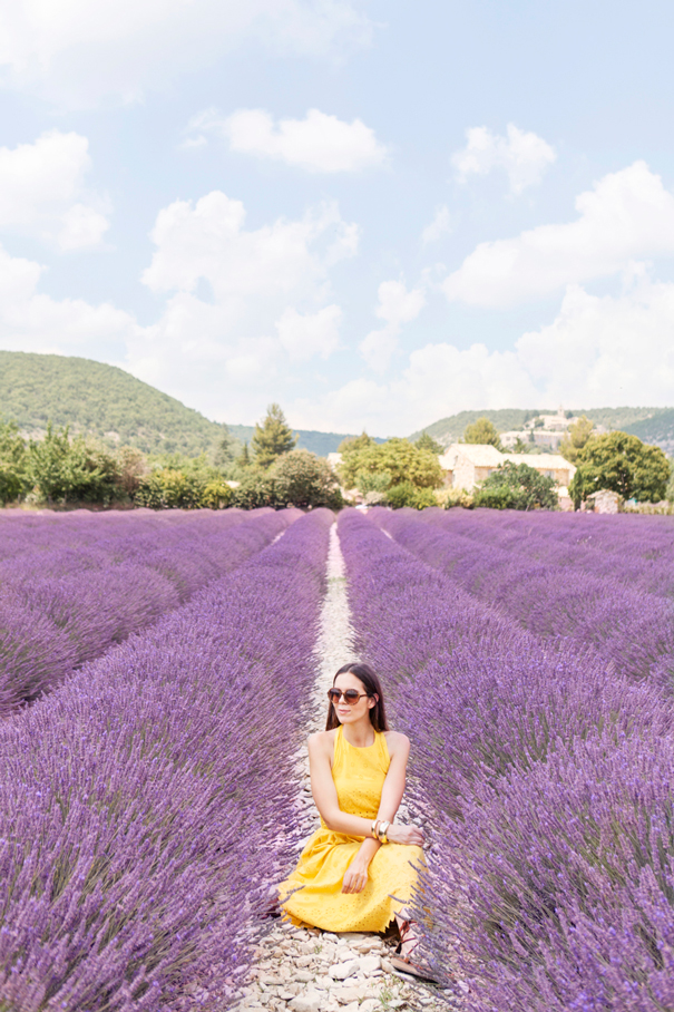 lavanda provenza