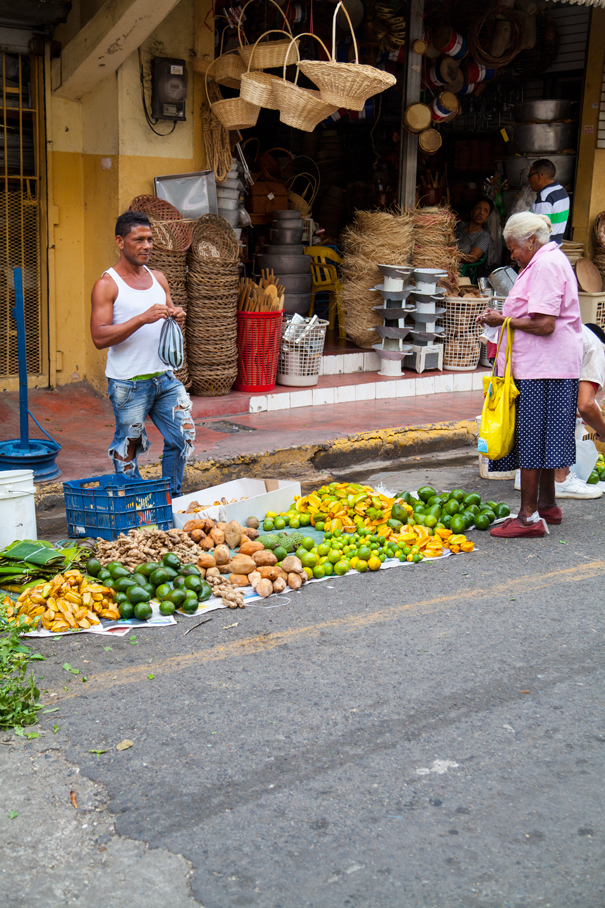 cosa vedere a santo domingo