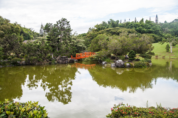 santo domingo giardino botanico