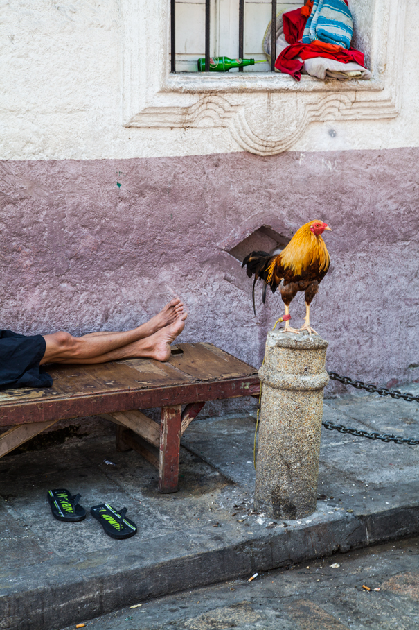 manila life