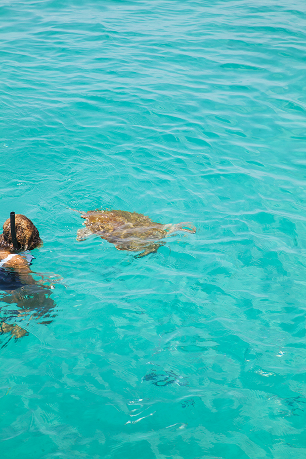 isola di barbados