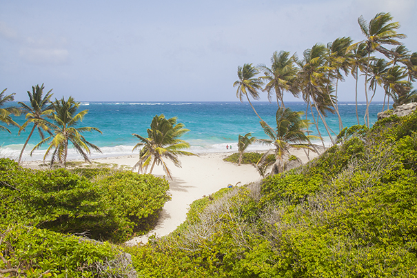 spiagge di barbados , spiagge e baie barbados , bottom bay