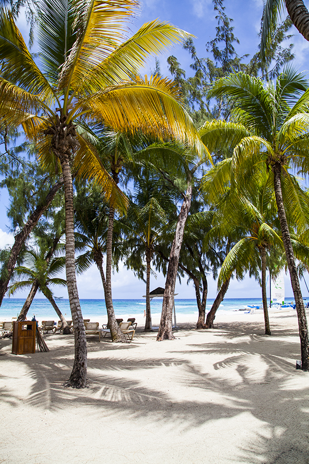 le spiagge più belle di barbados, le baie più belle 