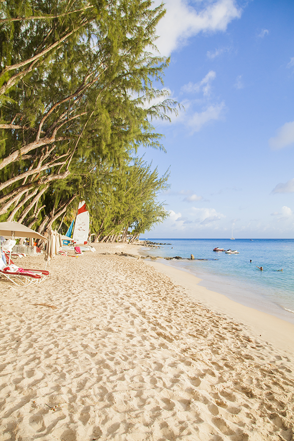 mare di barbados e spiaggia di barbados