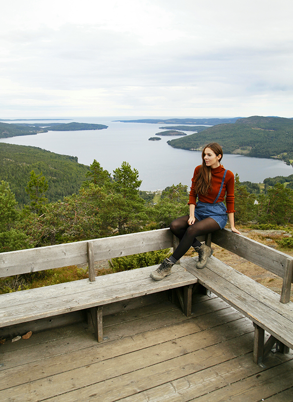 panorama svezia costa alta