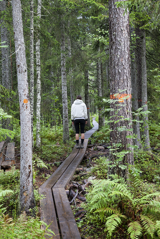 trekking svezia