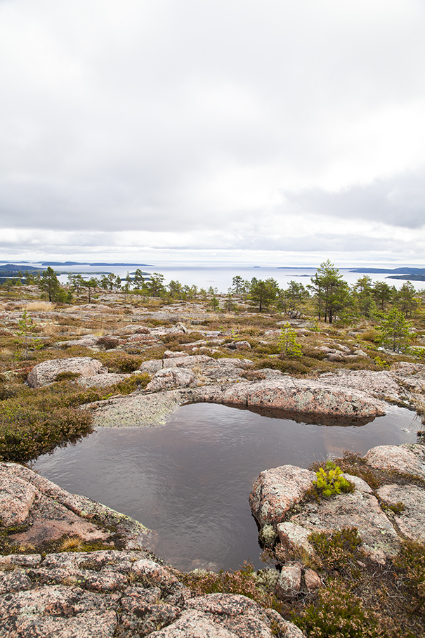 trekking in svezia | costa alta trekking