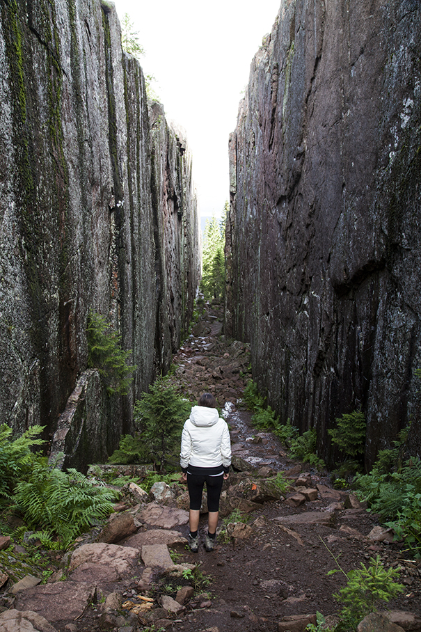 trekking in svezia | costa alta trekking