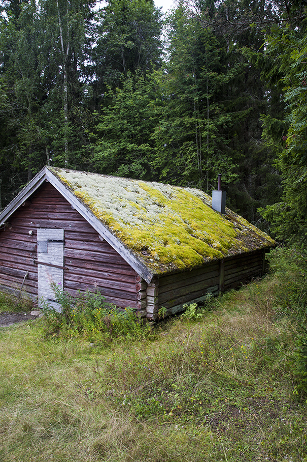 trekking in svezia | costa alta trekking