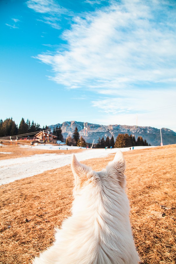 montagna di inverno