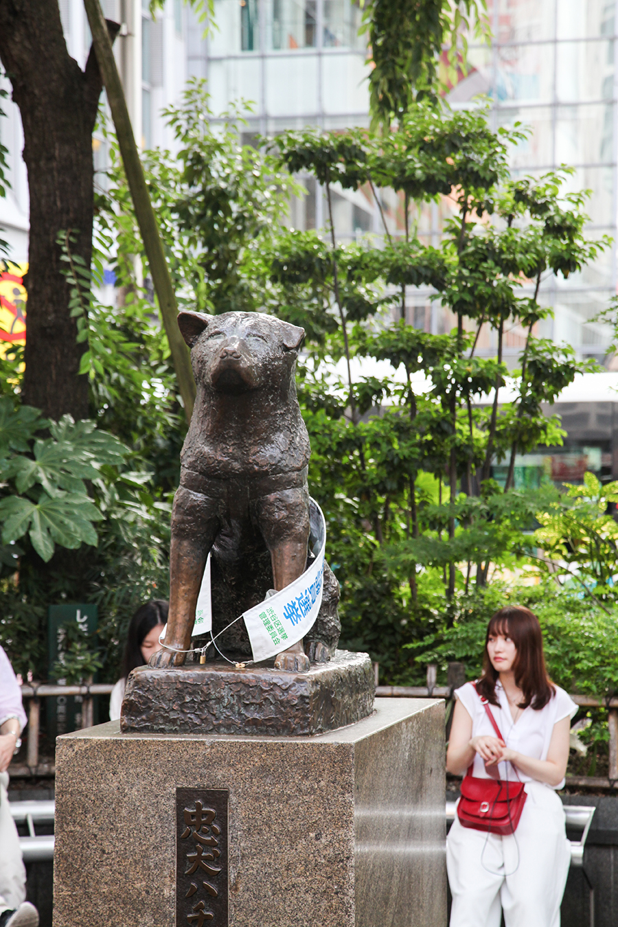 hachiko tokyo