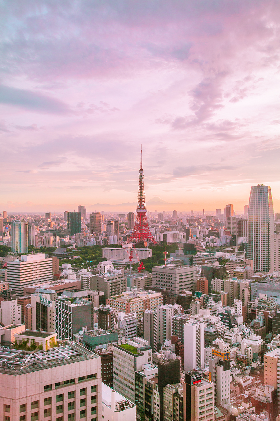 vista panorama tokyo dal park hotel